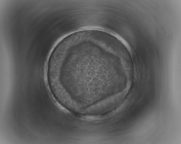 X0000112351102200909101038