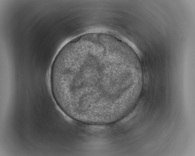 X0000112351103200909101038