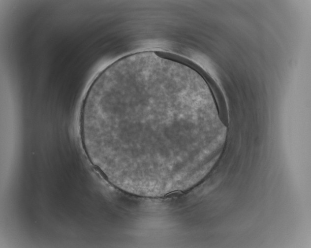 X0000112351104200909101038