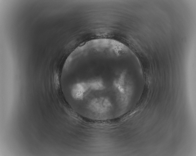 X0000112351106200909101037