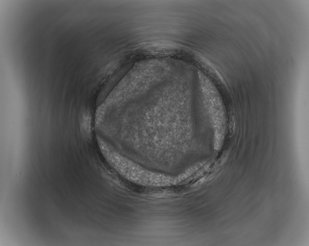 X0000112351108200909101037