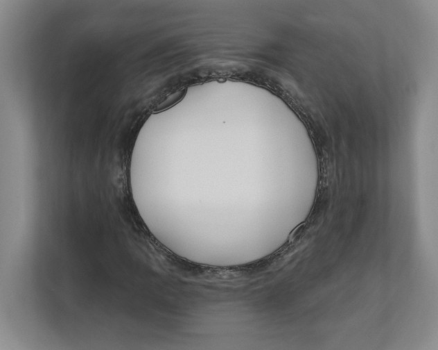 X0000112351109200909101037