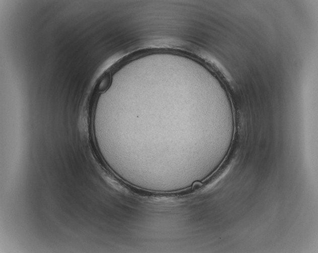 X0000112351114200909101037