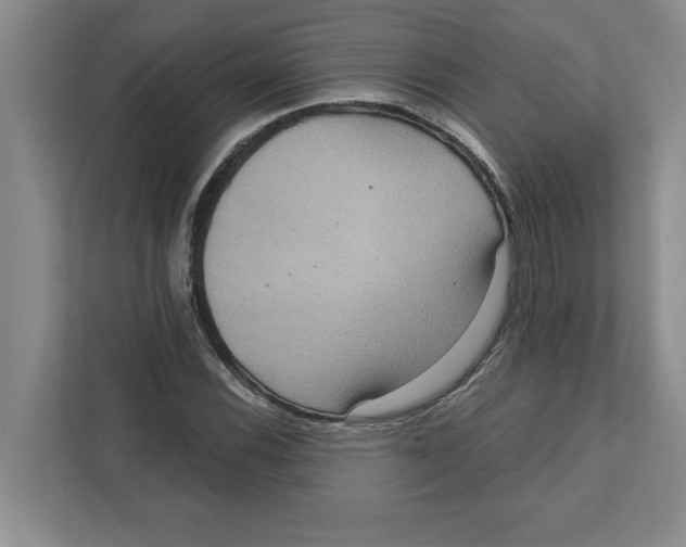 X0000112351116200909101038