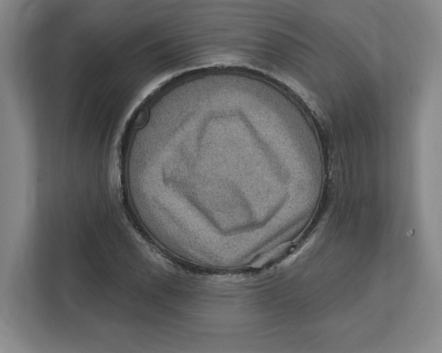 X0000112351118200909101038