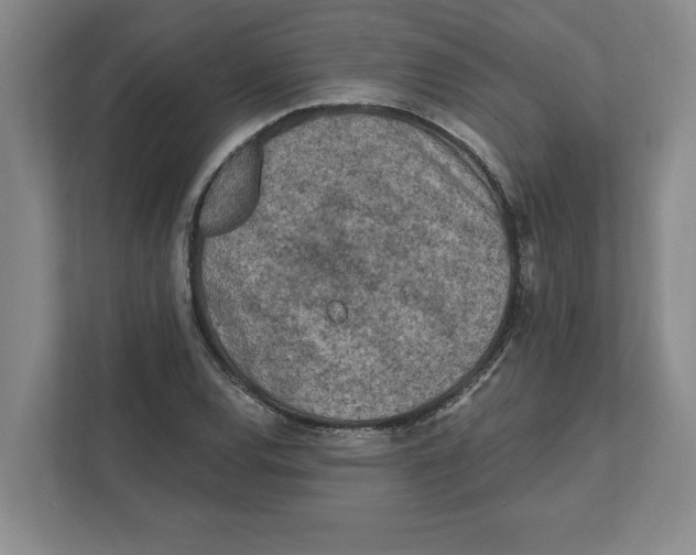 X0000112351120200909101038