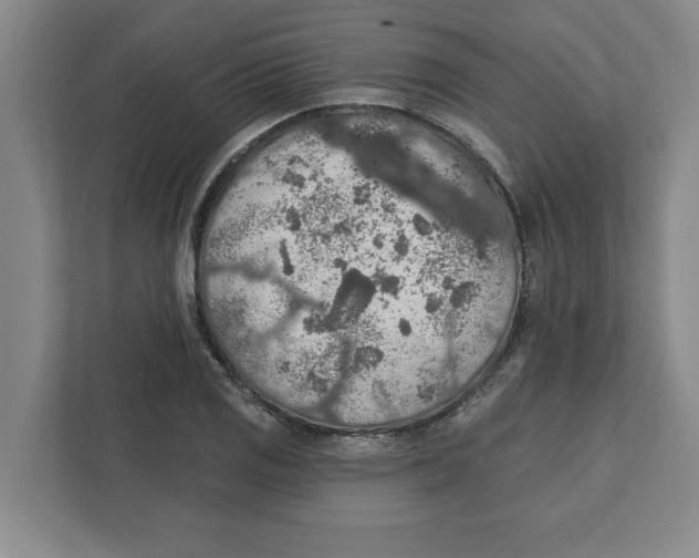 X0000112351125200909101038