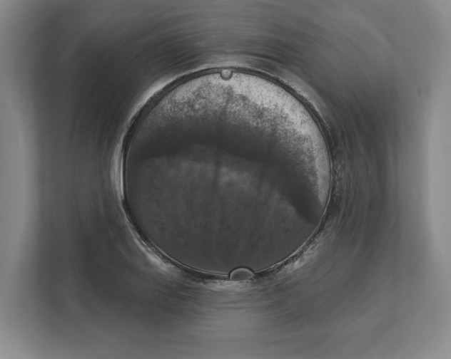 X0000112351127200909101038