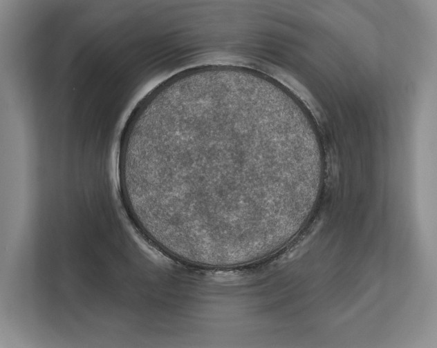 X0000112351128200909101038