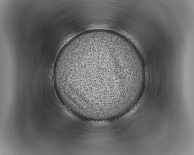 X0000112351129200909101038