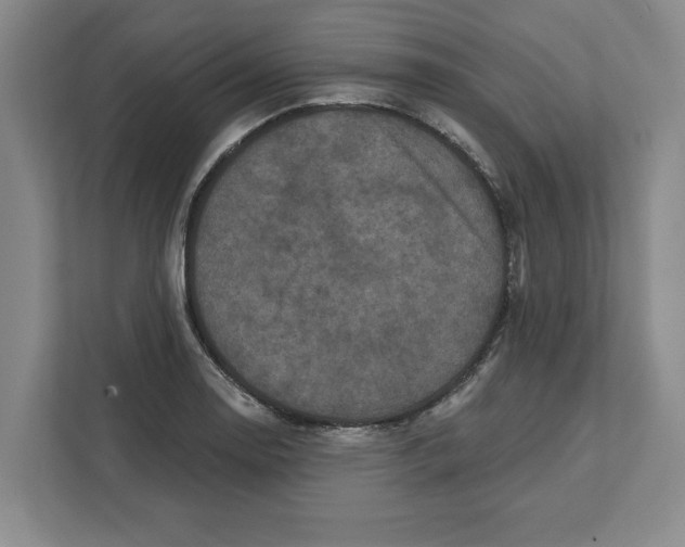 X0000112351130200909101038