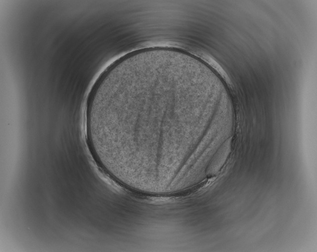 X0000112351132200909101038