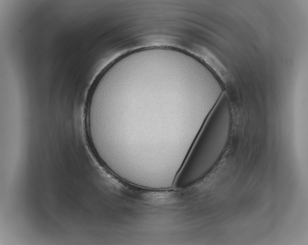 X0000112351134200909101038