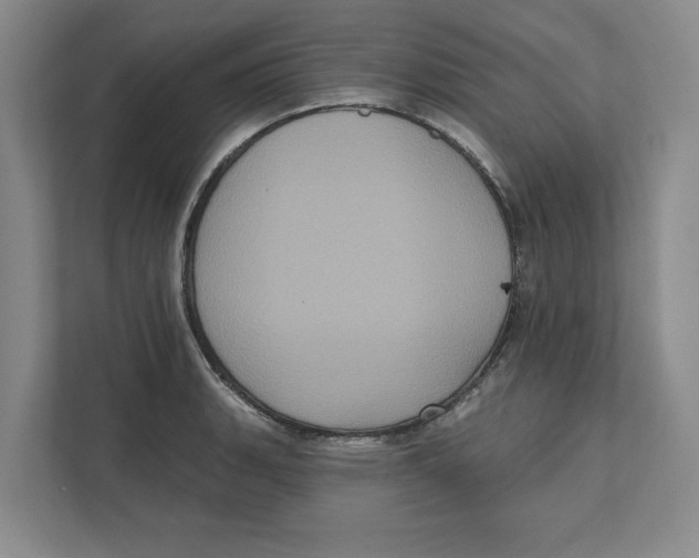 X0000112351135200909101038