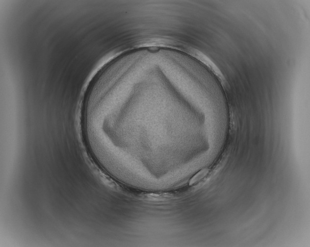 X0000112351138200909101038