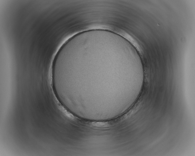 X0000112351140200909101038