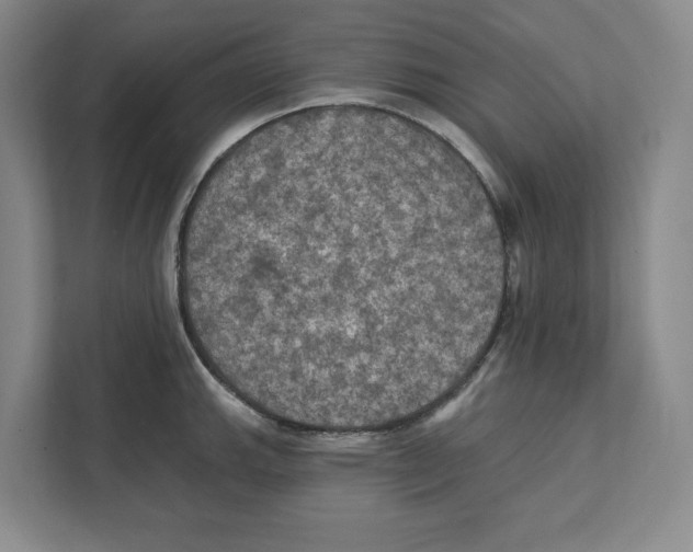 X0000112351143200909101038