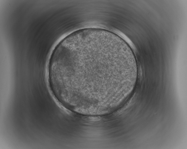 X0000112351144200909101038