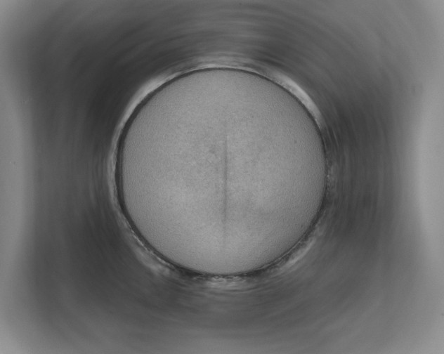 X0000112351146200909101038