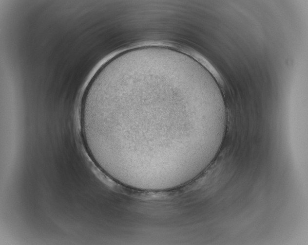 X0000112351148200909101038