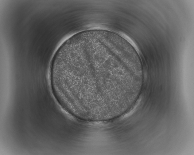 X0000112351149200909101038