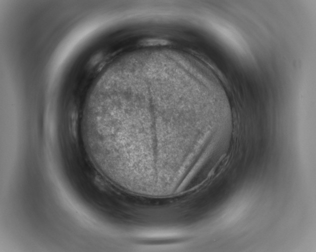 X0000112351151200909101038