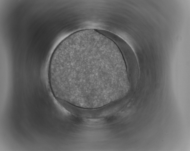 X0000112351152200909101038