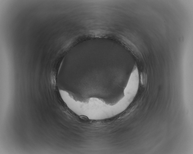 X0000112351155200909101037