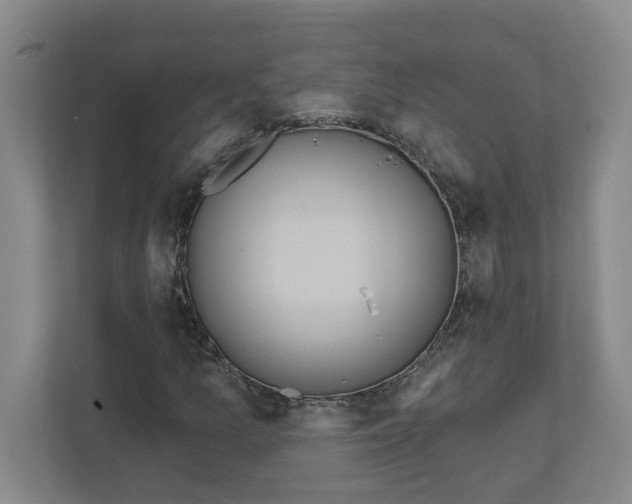 X0000112351157200909101037