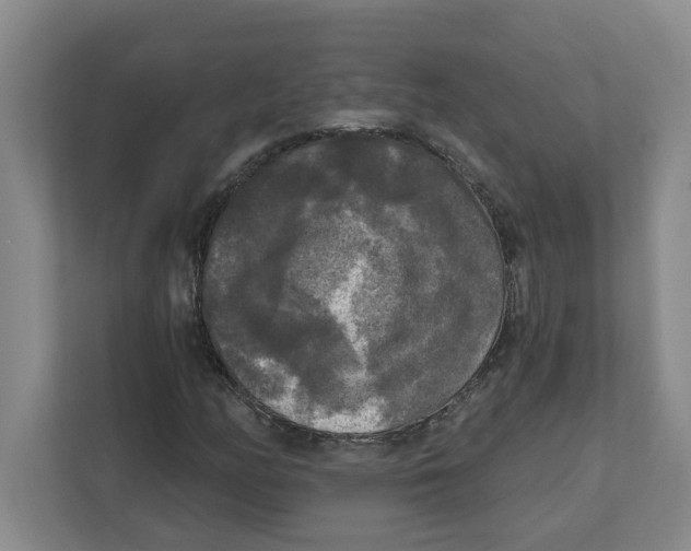 X0000112351158200909101037