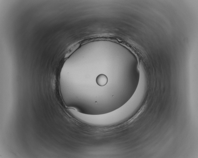 X0000112351161200909101037