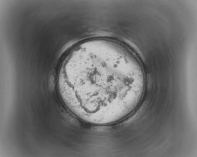 X0000112351163200909101037