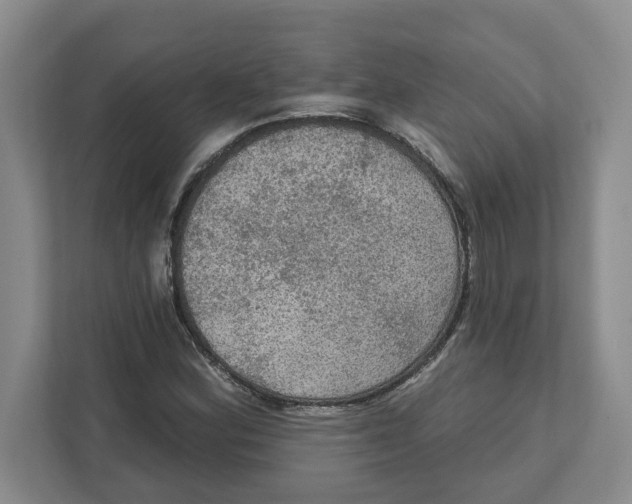 X0000112351164200909101037