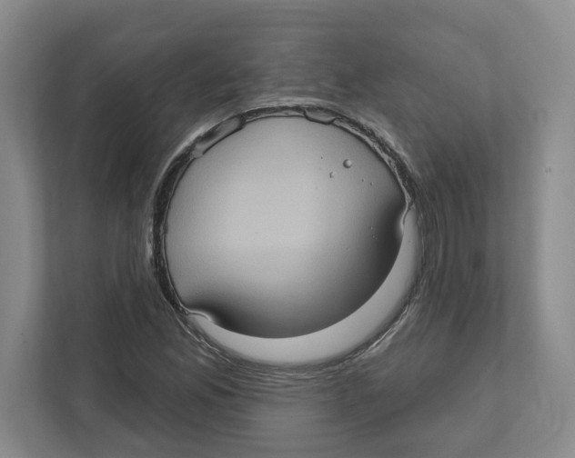 X0000112351165200909101037