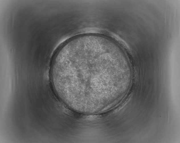 X0000112351166200909101037