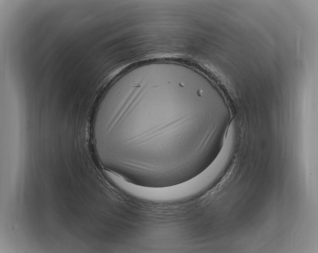 X0000112351169200909101037