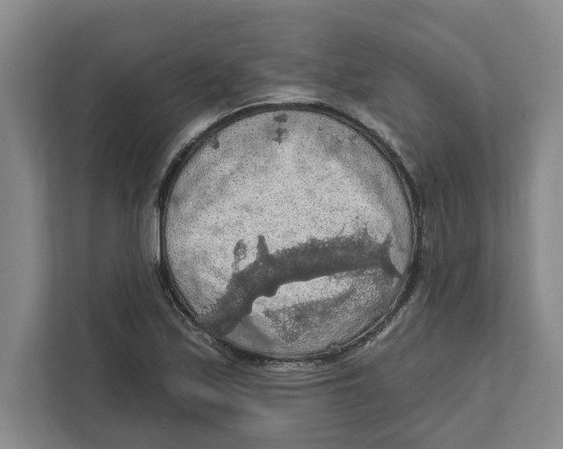 X0000112351171200909101037