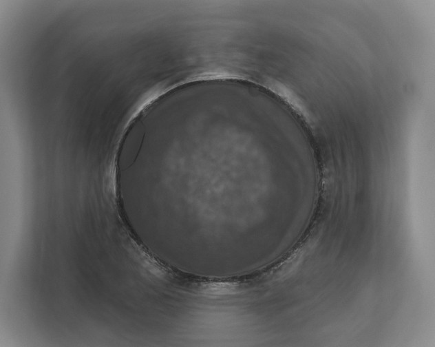 X0000112351173200909101037