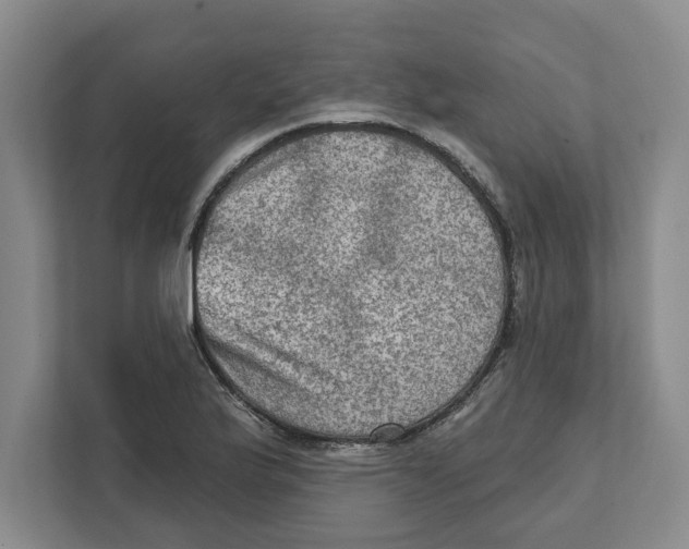 X0000112351175200909101037