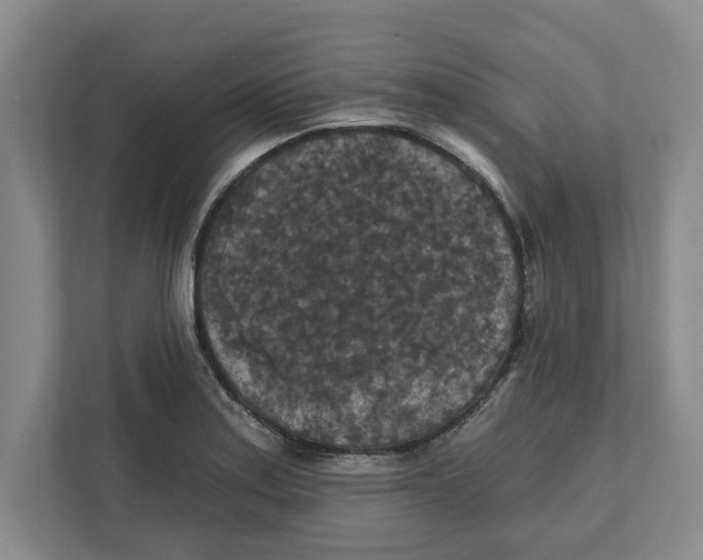 X0000112351179200909101037