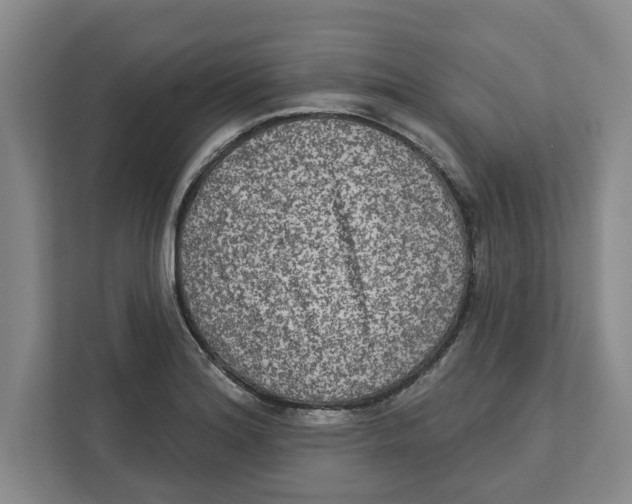 X0000112351180200909101037