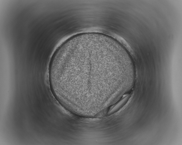 X0000112351184200909101037