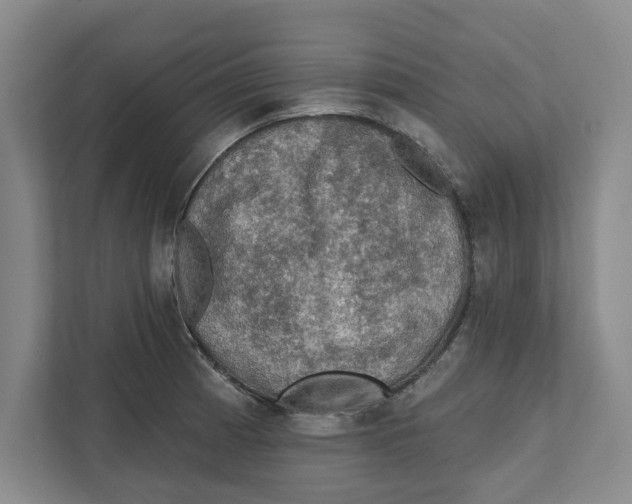 X0000112351185200909101037