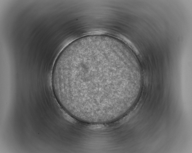 X0000112351186200909101037