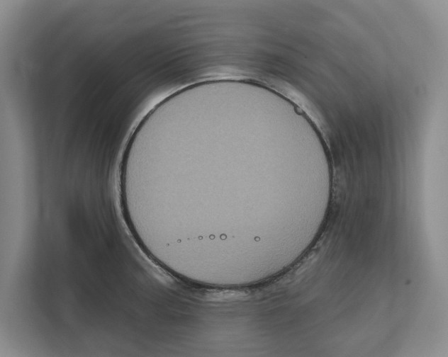 X0000112351187200909101037