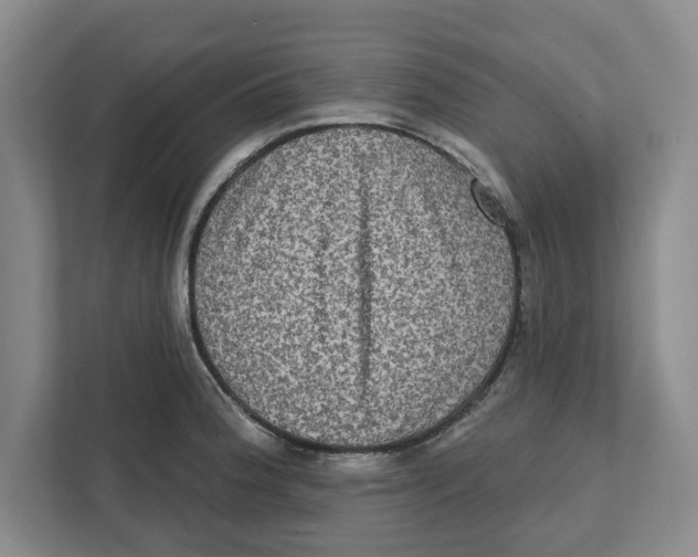 X0000112351188200909101037