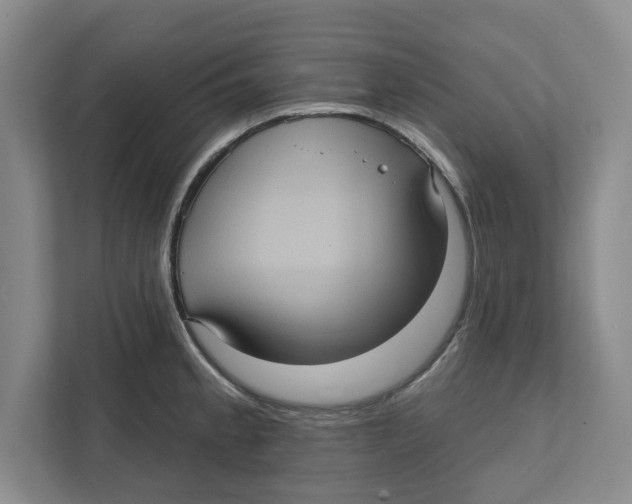 X0000112351189200909101037