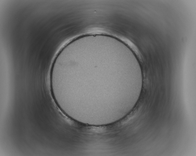 X0000112351191200909101037