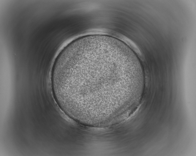 X0000112351192200909101037