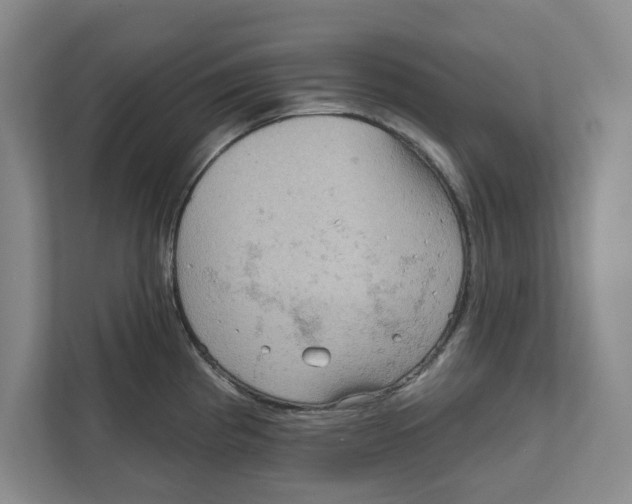 X0000112351193200909101037